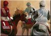 The Paddock - The Arabian Jockey Club