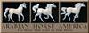 Illustrations for Arabian Horse America