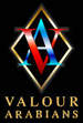 Valour Arabians Corporate ID