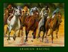 Top of the Stretch - Poster for The Arabian Jockey Club